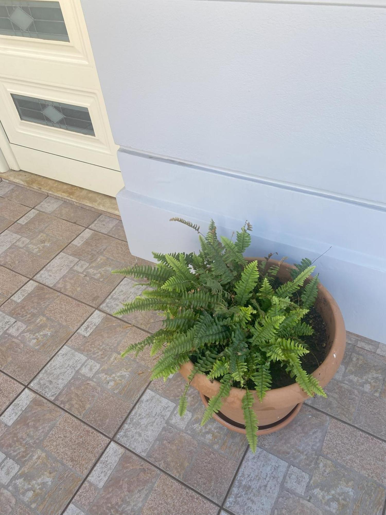 New Unique Apartment In Heraklion Exterior photo